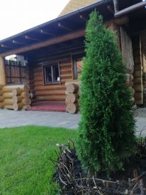«Банечка» на дровах с прорубью в Гатном: Баня с вениками